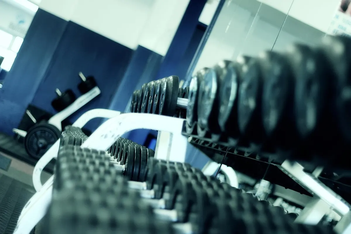 Dumbbells lined up in a gym