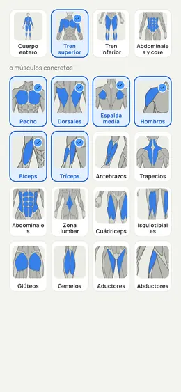 El selector: zonas del cuerpo y músculos concretos